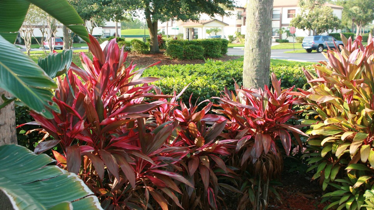 Ventura Condo | Oct 15-27 OPEN. Sunny, Quiet .Main floor ,Gated, WiFi-GOLF-pools,-Parks 30 min