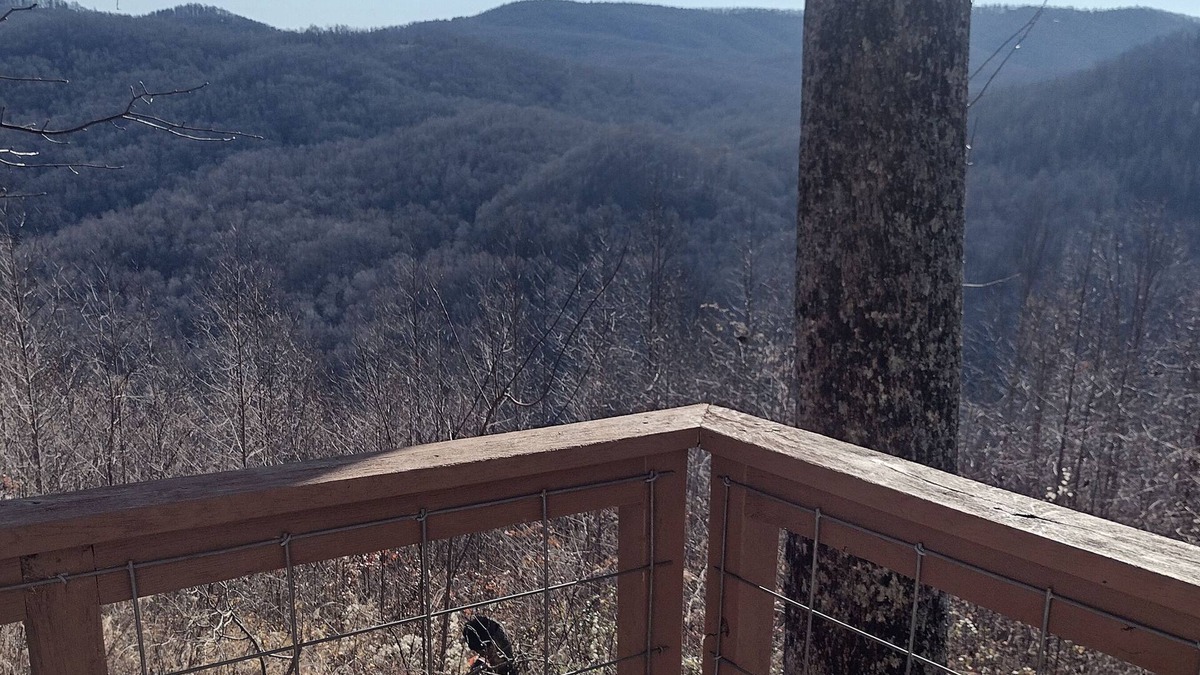 Saluda Cottage | Oden’s Lookout at Valhalla Mountain- Studio Cottage