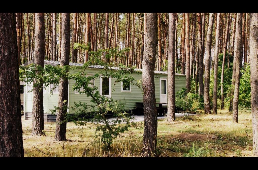 Grudziadz House | Odpocznij w Lesie