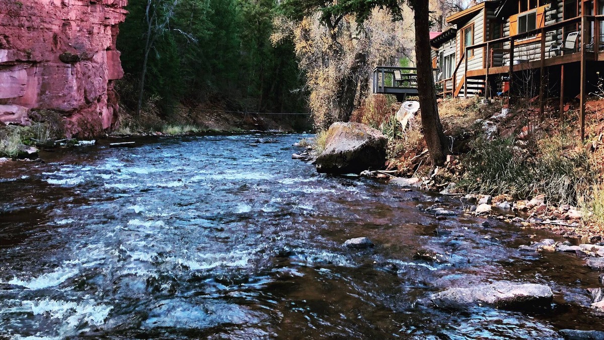 Basalt Cabin | ❤️of the Frying Pan River I View from Every Room