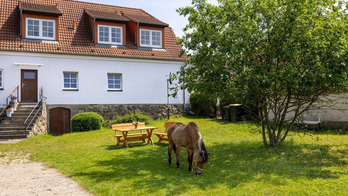 Kroepelin Apartment | OFC 31 Familie Harz 2 - Ferienwohnung Flori´s Ponyhof