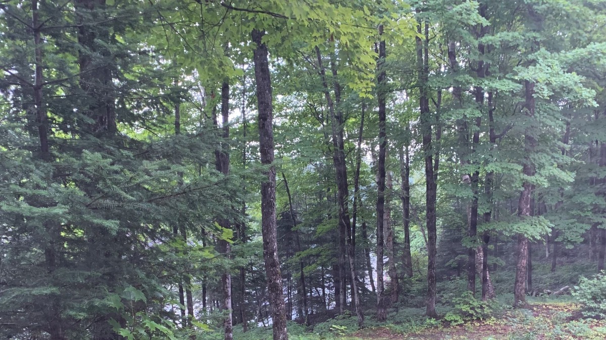 McDougall Cabin | Off grid, boat access fishing retreat.