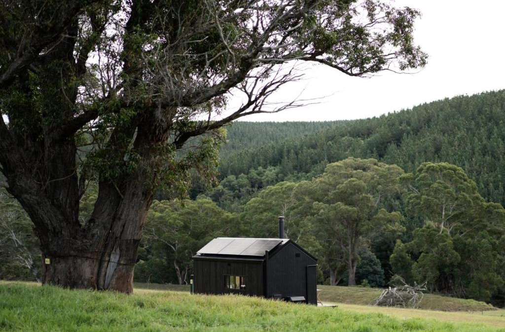 Tarra Valley House | Off-Grid Cabin with Valley Views and Hot Tub - Pepe