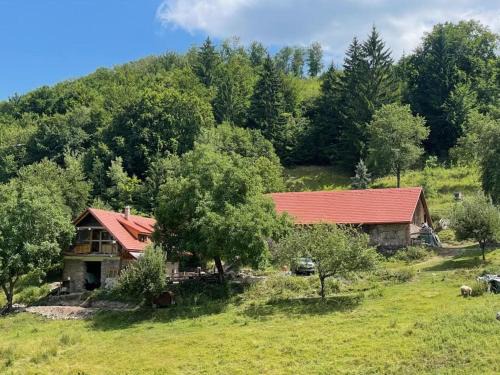 Kozelnik House | Off-grid Eco Farm Dolinka
