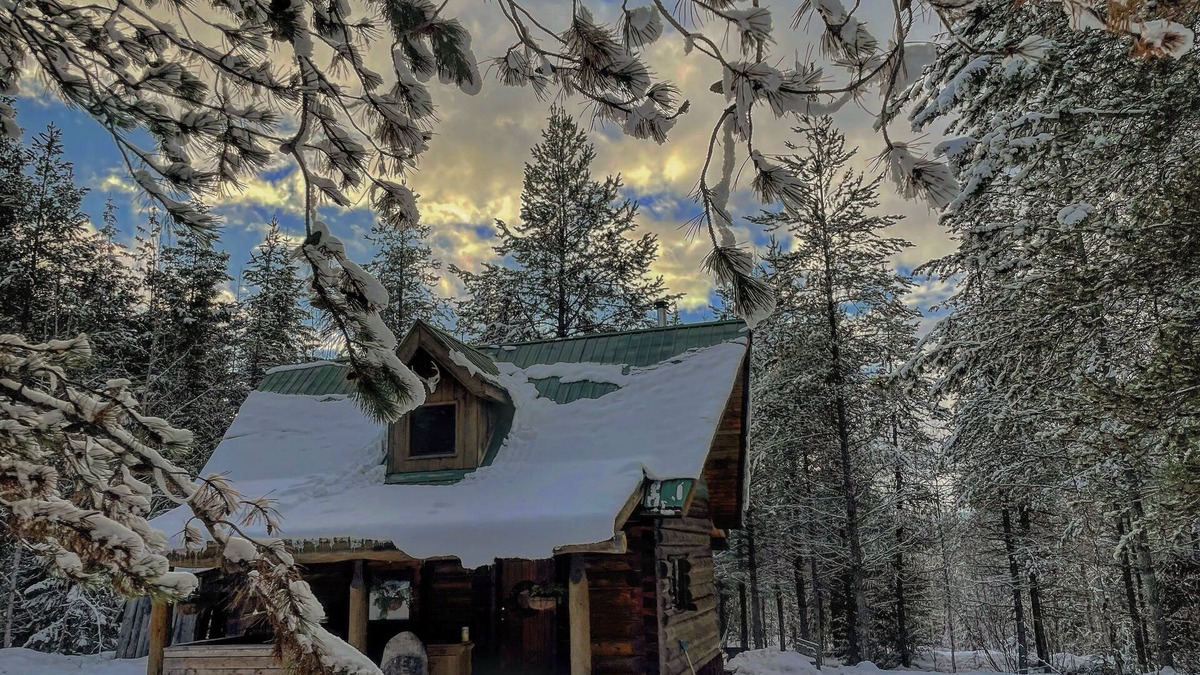 Salmon Arm Cabin | Off-grid Glamping Cabin ~ Sauna ~Larch Hills ~Near Salmon Arm