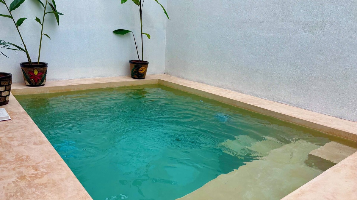 Ciudad Valles House | OFFER Excellent Private Residential House, Swimming Pool, Barbecue, Garden