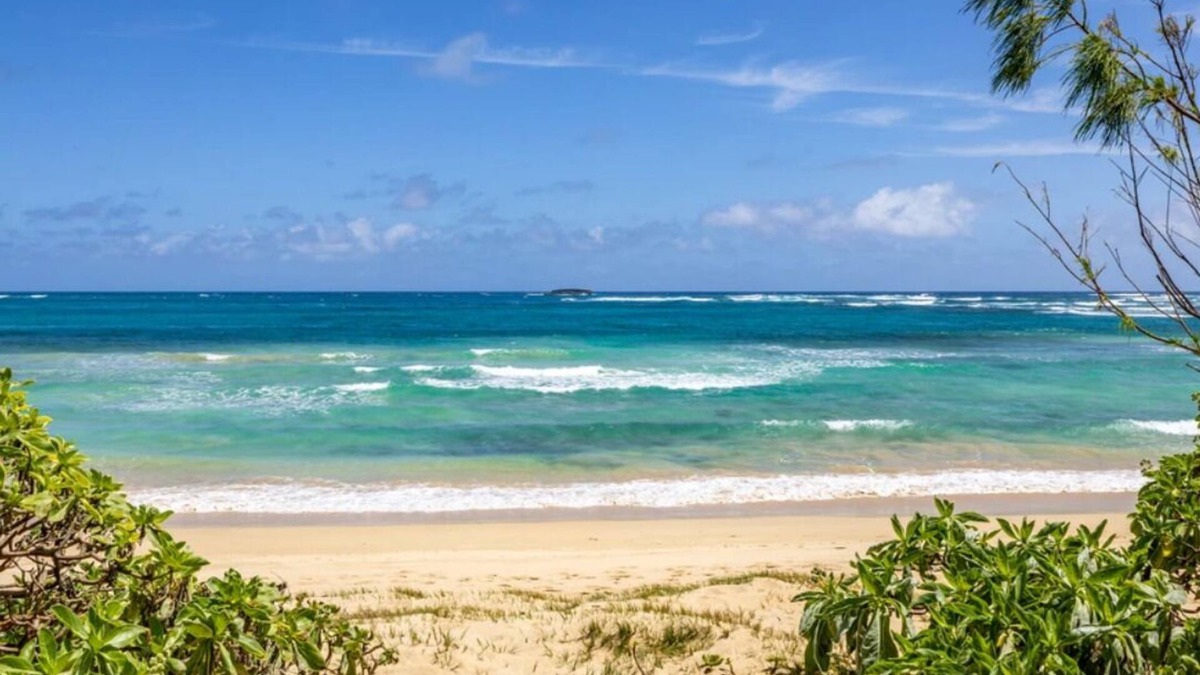 Laie House | Ohana Adventure🌺 3 Beach front properties