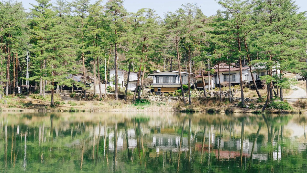 Shimojo Hotel | Ohgutekohan Shirasagisou