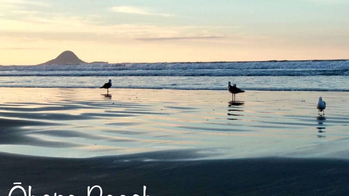 Ohope House | Ohope Beach 2Brm Weekender escape,handy to beach & more!