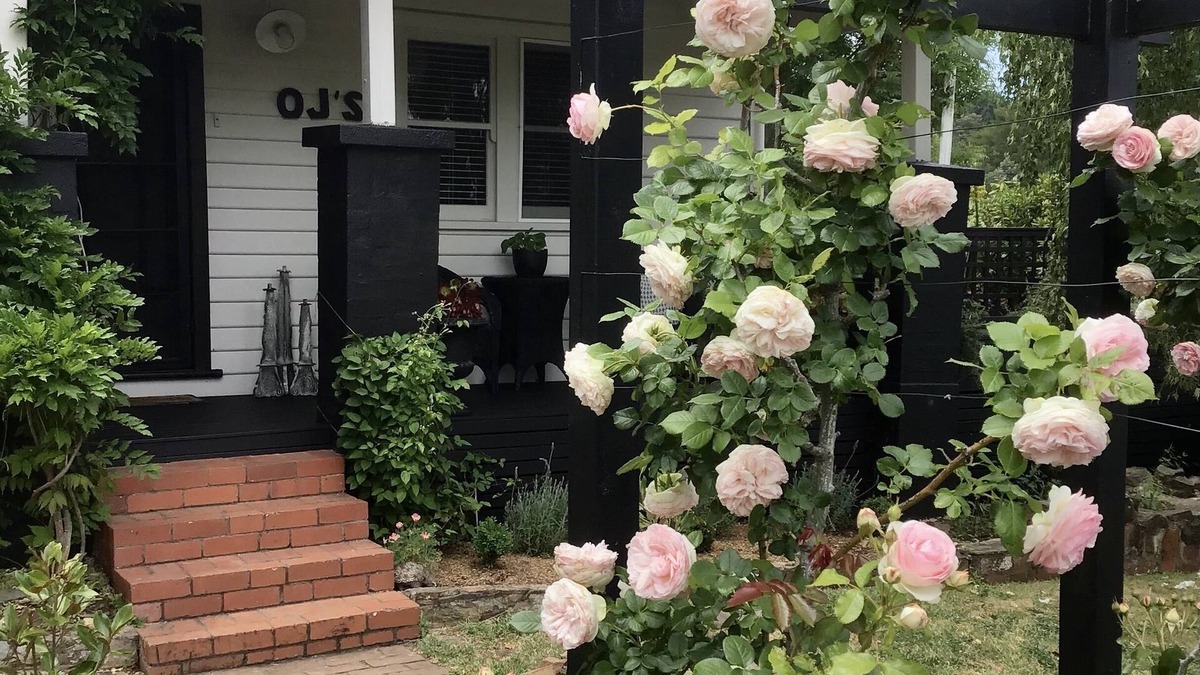 Daylesford House | OJ's - luxury retreat minutes from shopping and restaurants