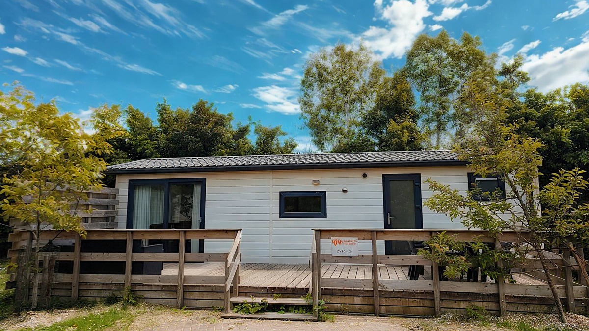 Oostkapelle House | OK30 Chalet in Oostkapelle with a dog