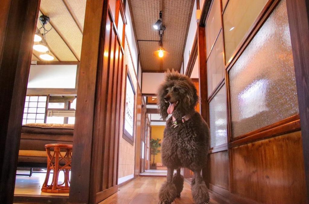 Ochi-gun House | Okamuran Shimanami Goten - Vacation STAY 95664v