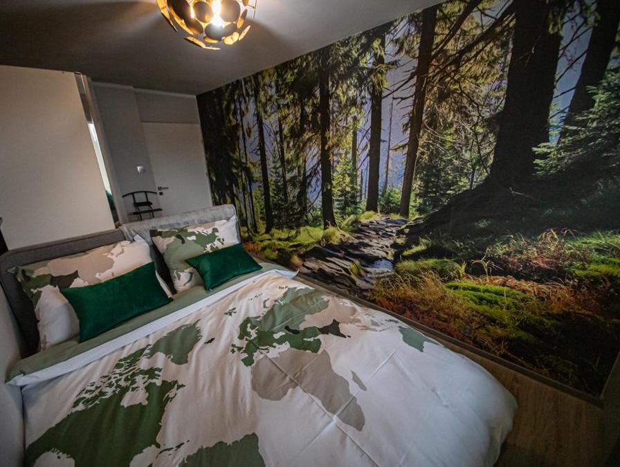 Lesna Apartment | Okno na Izery