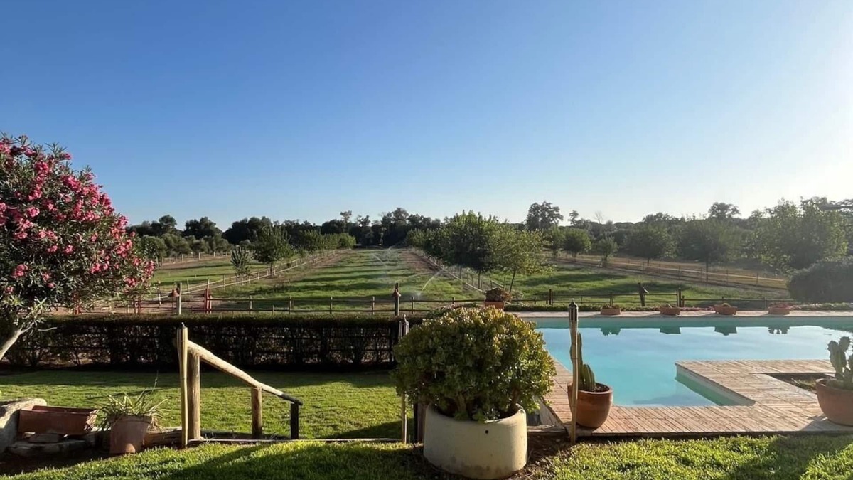 Villamanrique de la Condesa House | OLIVE GROVE OF GATOS FARM