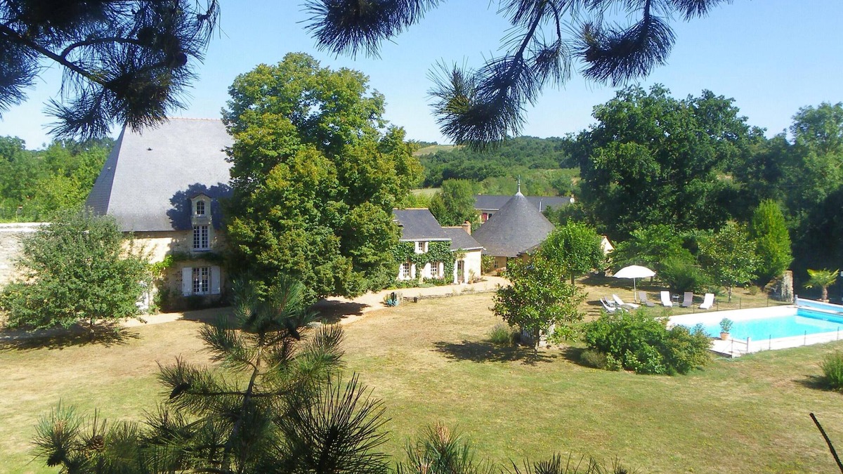 Bellevigne-en-Layon Other | Old castle in large private park with swimming pool