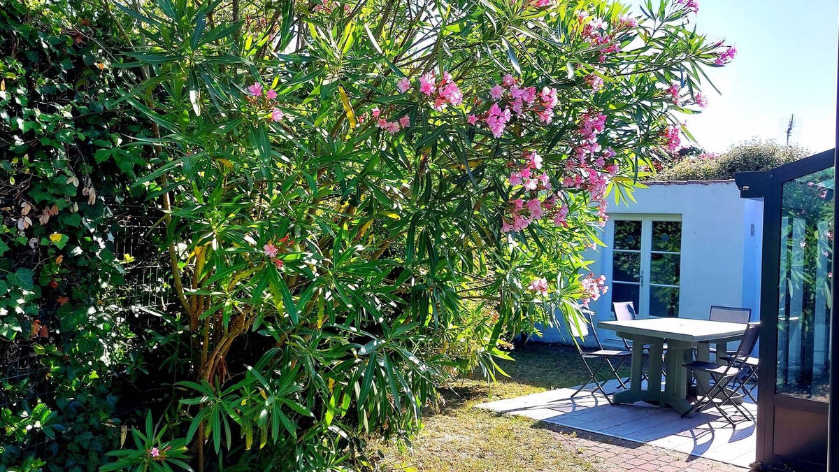 Noirmoutier-en-l'Ile House | OLD: charming house 100m from the beach (2 bedrooms, 2 bathrooms)