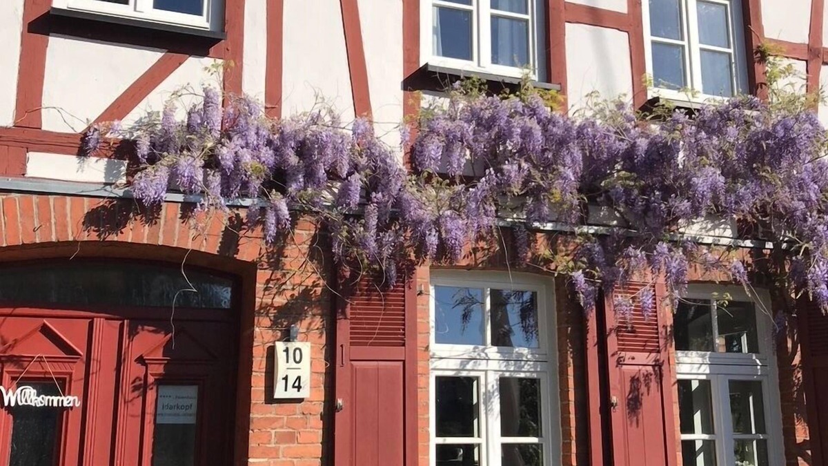 Horbruch Other | Old farmhouse - comfortable and family-friendly Price for max 7 people/N