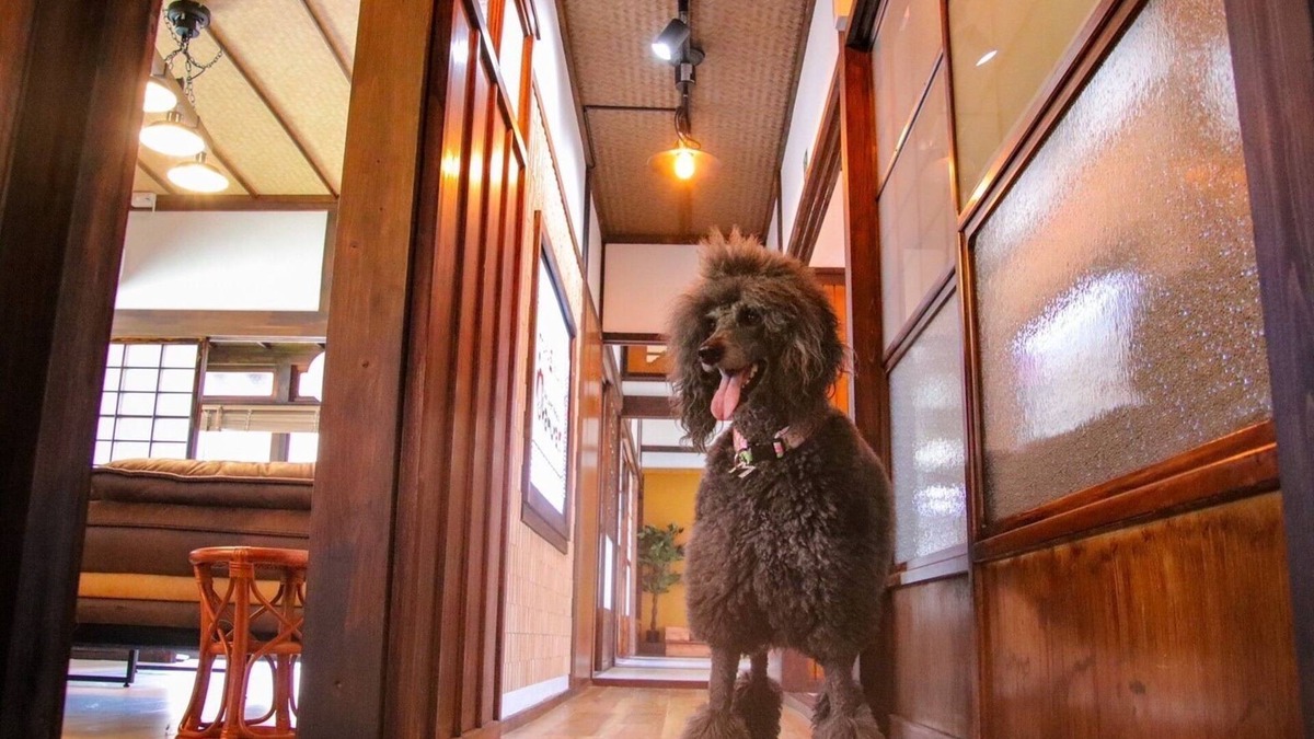 Ochi-gun House | Old folk house with dog run/Imabari Ehime