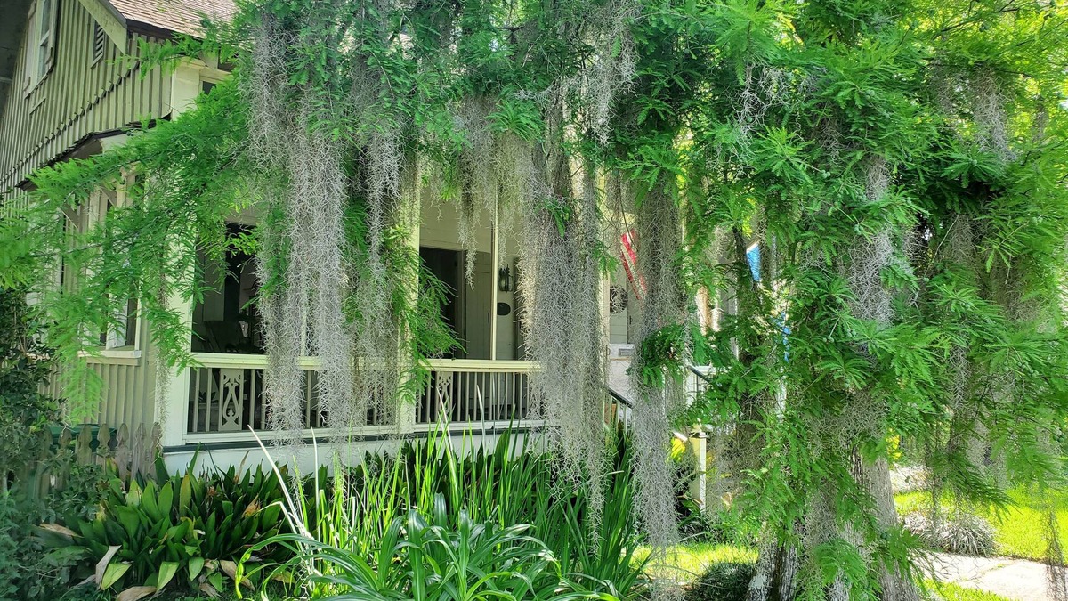 Mandeville Bed & Breakfast | Old Mandeville guesthouse with New Orleans style courtyard 1 block from Lake.