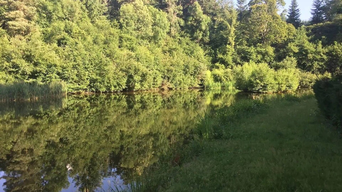 Sainte-Agathe House | Old mill in a green setting