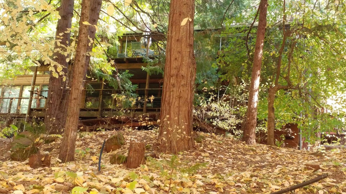 Glencoe Cabin | Old School Fun At Lake Mont Pines Creekside Cabin
