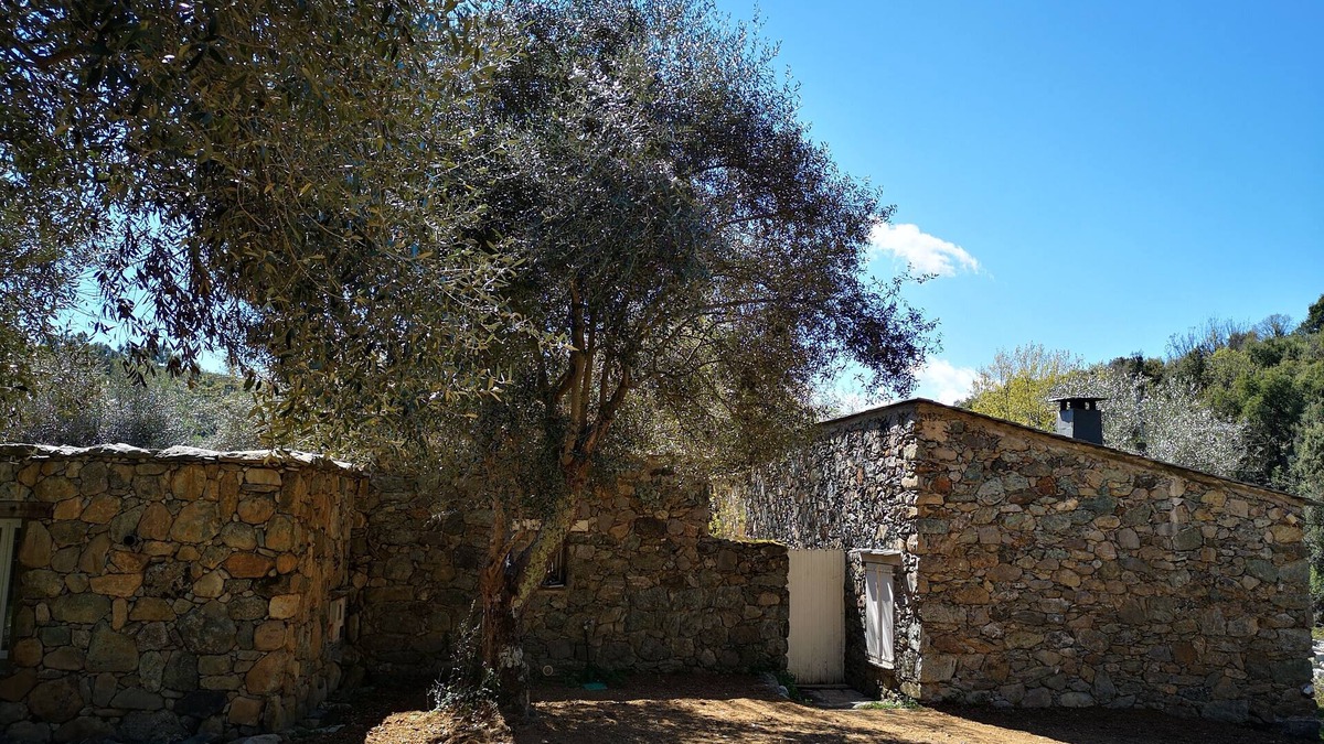 Santa-Lucia-di-Mercurio House | Old stone sheepfold completely renovated 2 steps from Corte