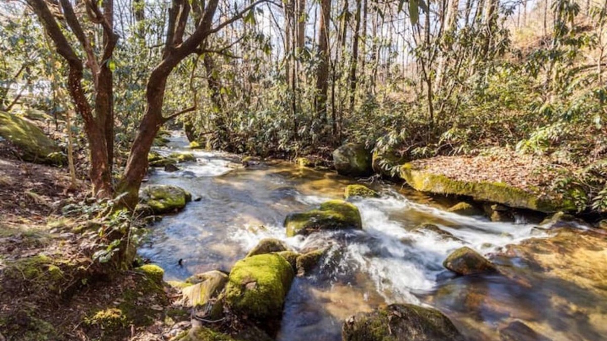 Rocky Bottom House | Ole Blue - Table Rock, Sassafras, Lake Keowee, Lake Jocassee.