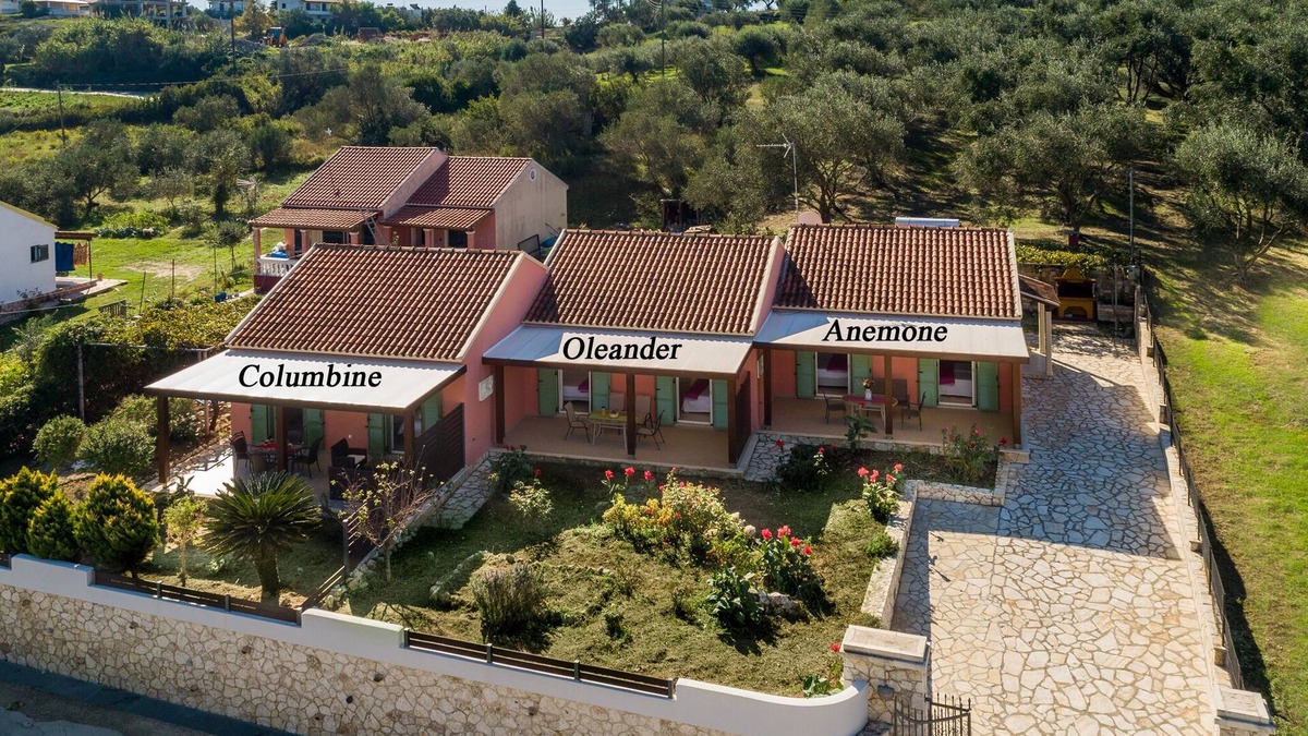Agios Stefanos Avliotes Apartment | Oleander Apartment Agios Stefanos Corfu