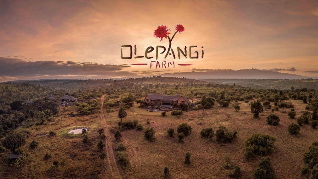 Nanyuki Cabin | Olepangi Farm