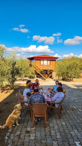 Zeytinli Other | Oli Camping & Bungalows