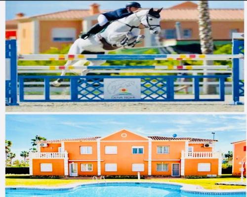 Molinell Apartment | OLIVA NOVA EQUESTRIAN CENTER MET Mediterranean Equestrian Tour