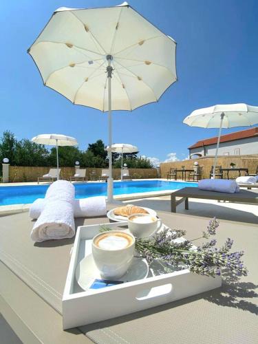 Municipality of Posedarje House | Olive Garden