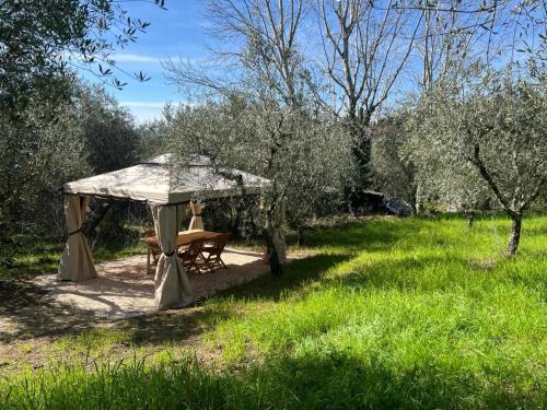 Settignano Apartment | Olive Garden Loft - Settignano