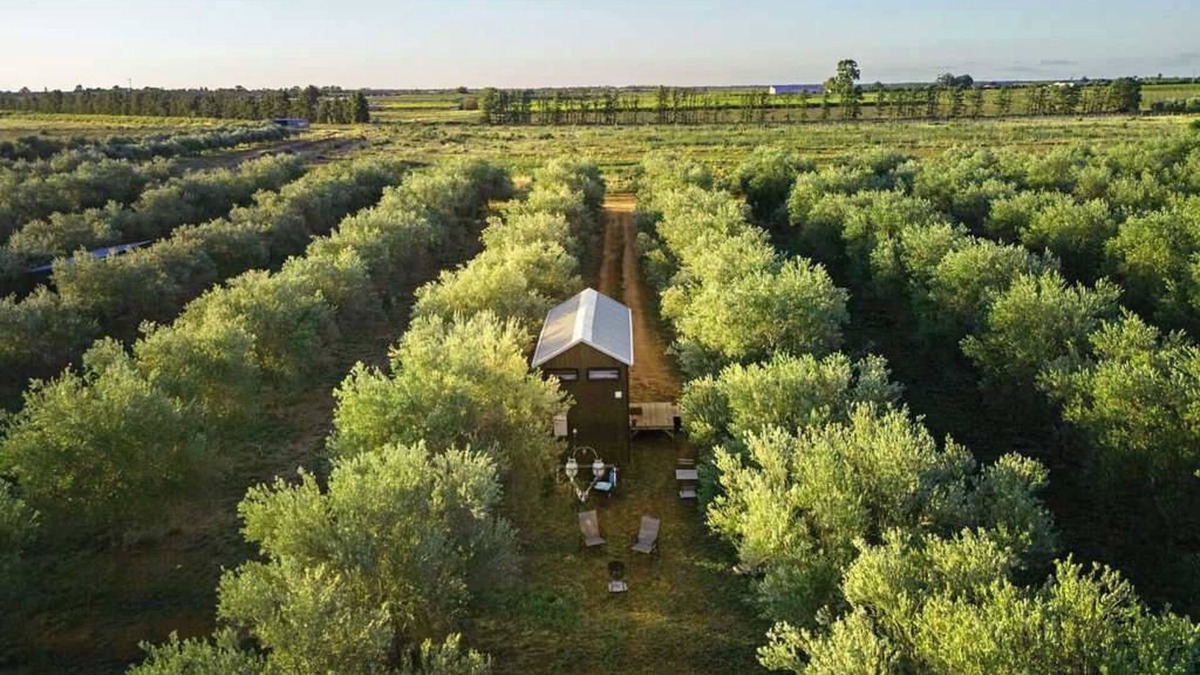 Tresco House | Olive Grove Retreat 2 by Tiny Away