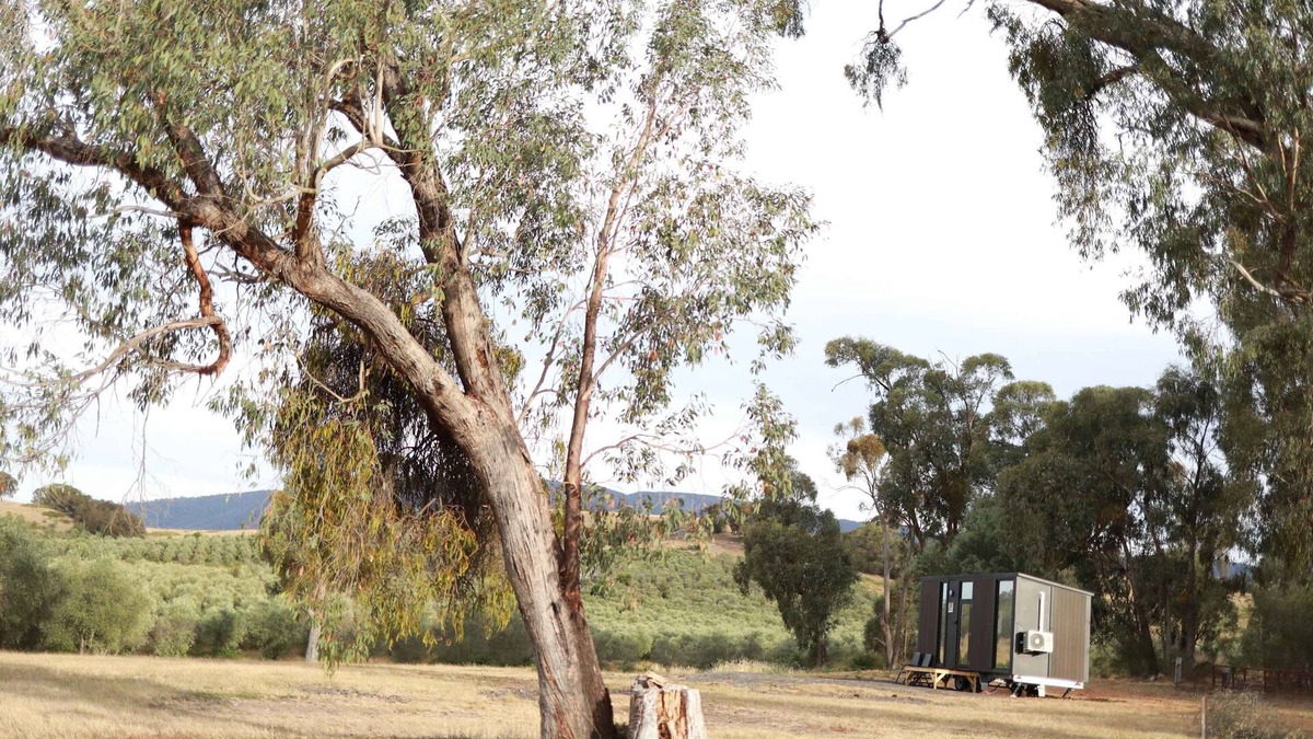 Taggerty House | Olive Sanctuary by Tiny Away
