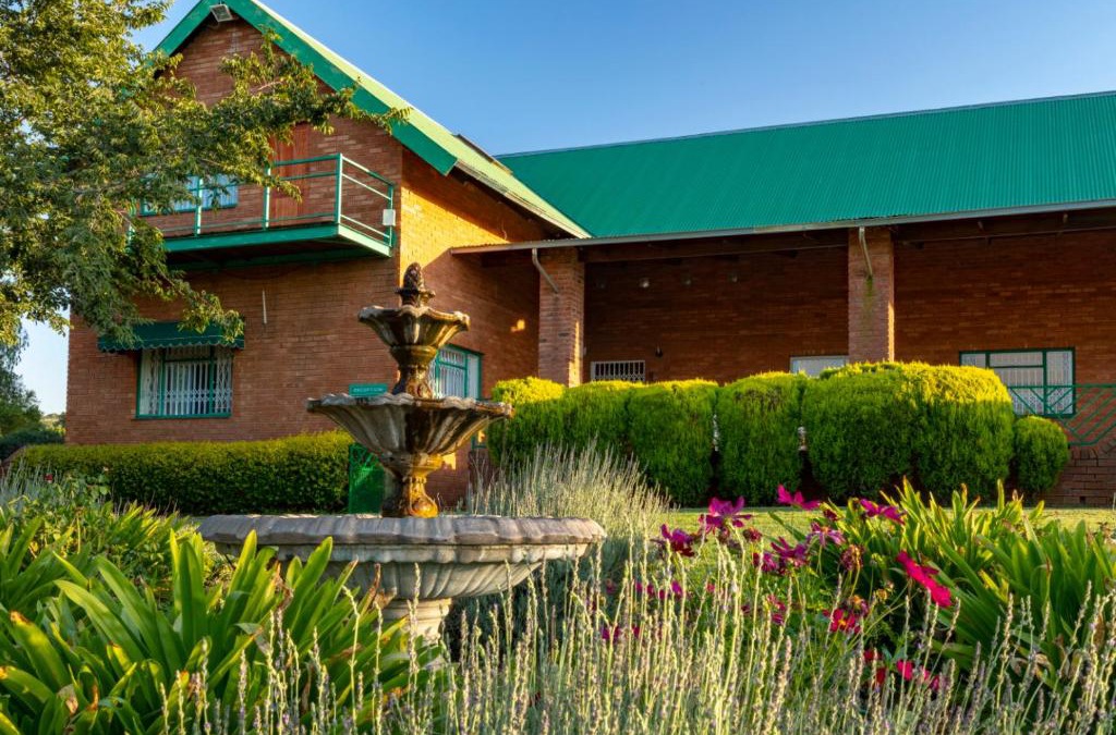 Magaliesberg Bed & Breakfast | Olive Tree Farm