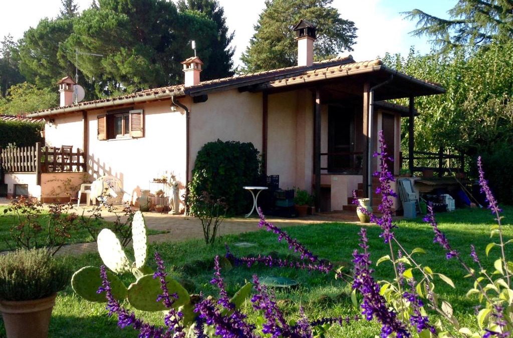 Zagarolo Bed & Breakfast | Olive Tree Hill