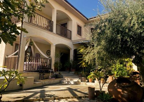 Anogyra House | Olive Tree House