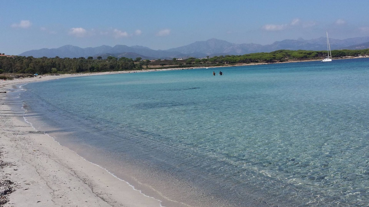 Tanaunella Apartment | Olive tree * Studios * 800 m from the sea in Tanaunella Budoni