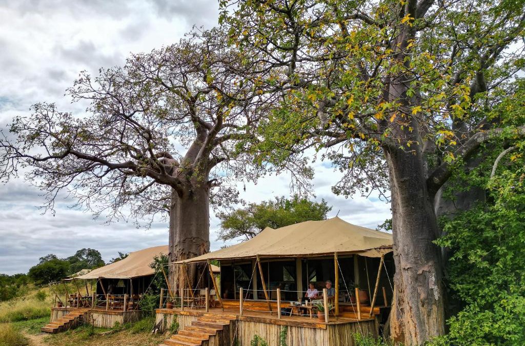 Tarangire National Park Other | Olkeri Camp