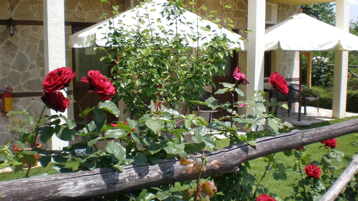 Vergina House | Olympia Guesthouse