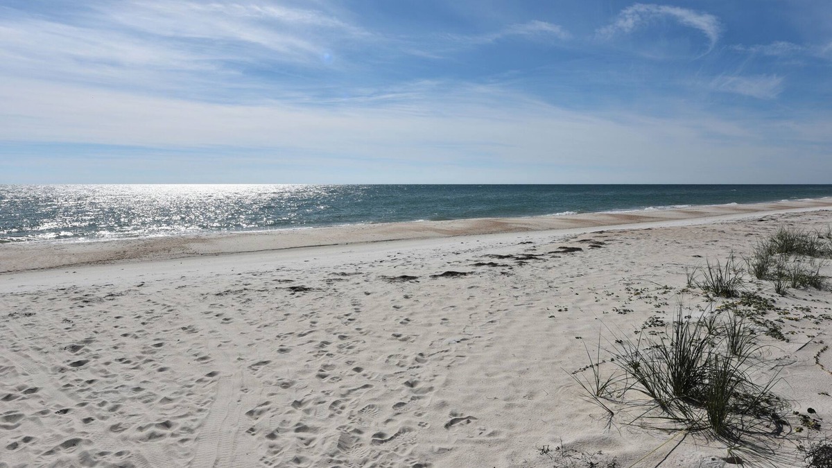 East End House | OM J5 pet friendly community pool beach access
