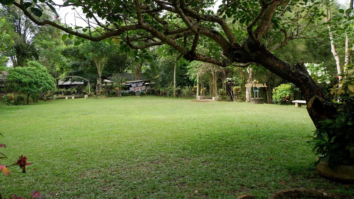 Temanggung House | Omah Kebon Guest House