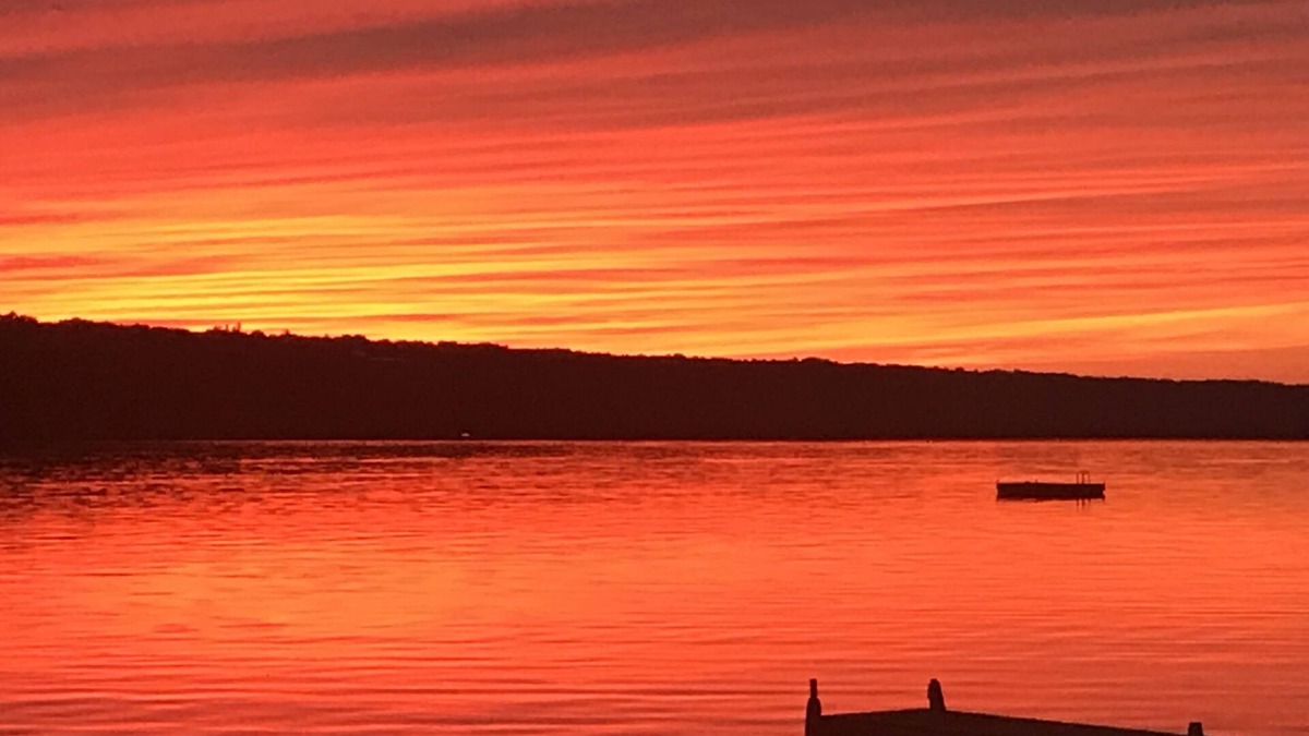Moravia Cottage | ON LAKE! Peaceful Private Level Beach, Pet Friendly,Stream,Dock,Woods,Rowboat!