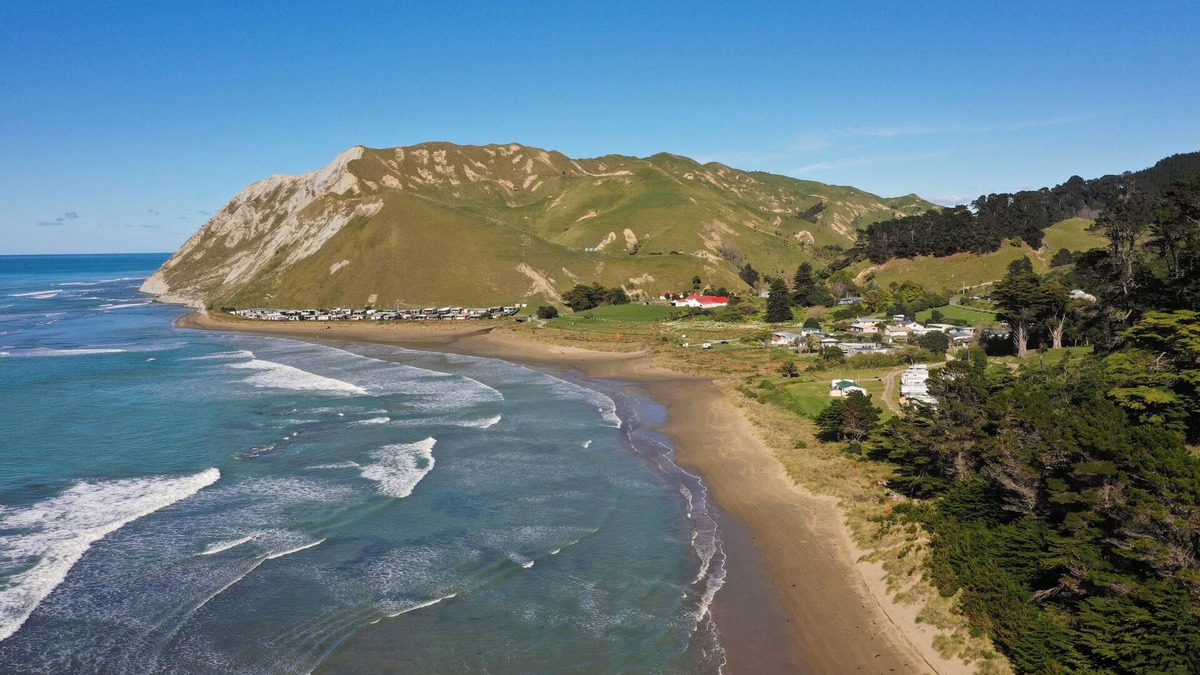 Aramoana Apartment | On the beach, fully equipped new unit with disabled access at the Marine Reserve
