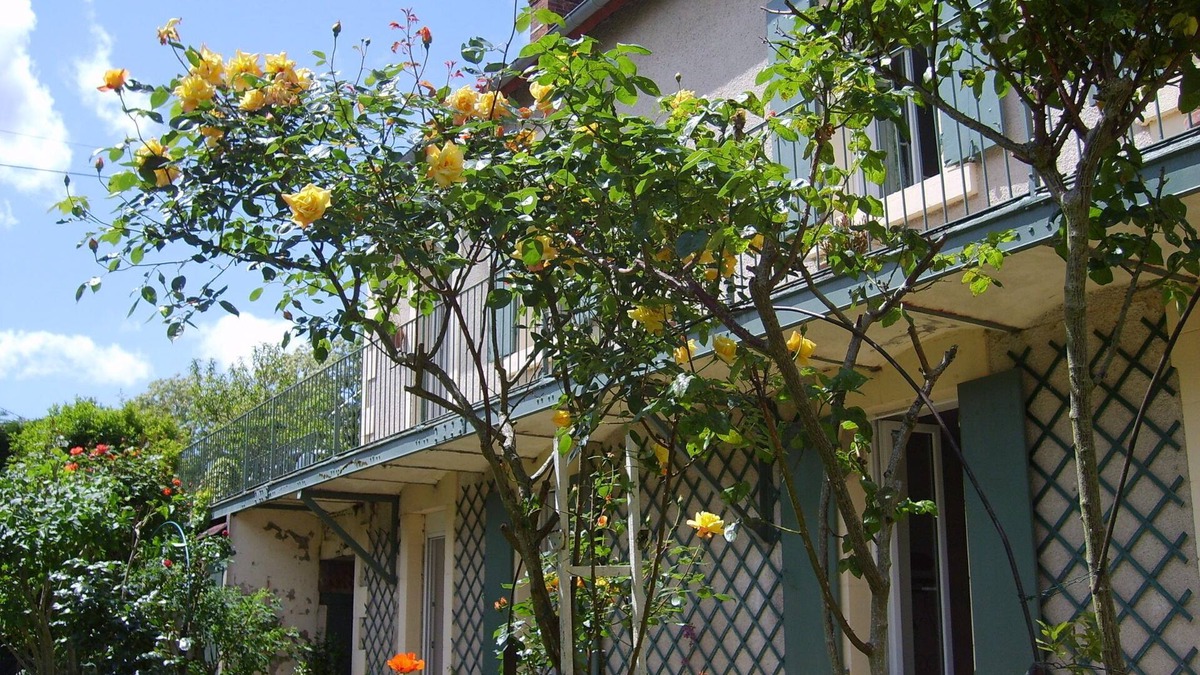 Jouet sur l'Aubois Cottage | On the "Loire à vélo" route, between Loire and Canal Latéral à la Loire