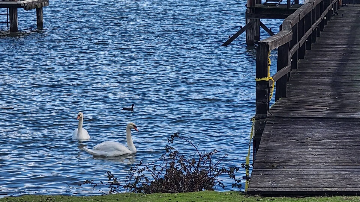 Lakeport House | On the water with Boatdock & Hot-tub, 14 guests at Lakeport