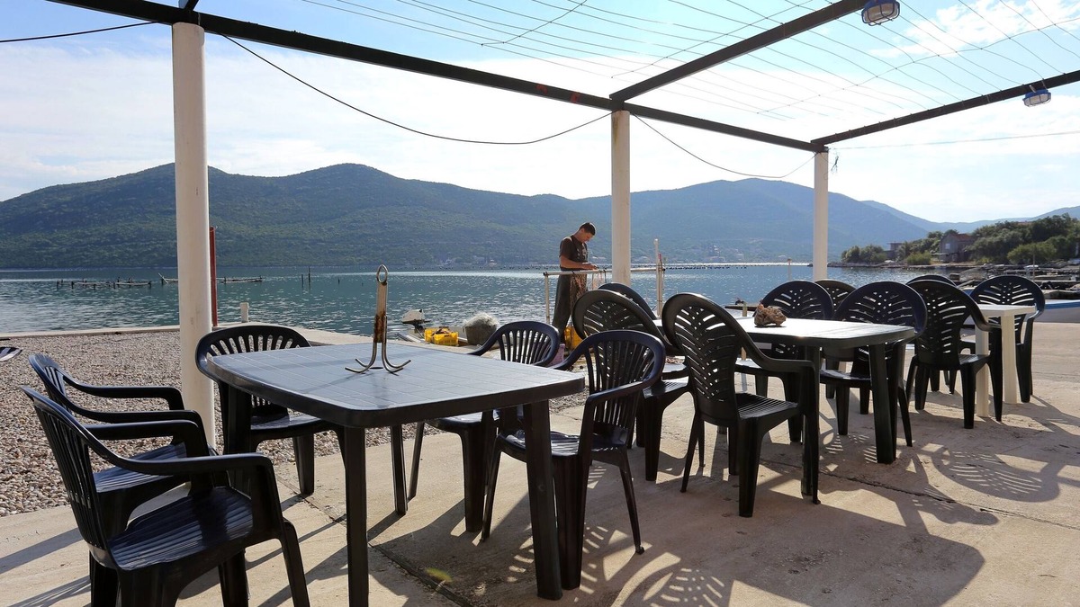 Putnikovic Apartment | One bedroom apartment near beach Žuronja, Pelješac (A-10123-c)