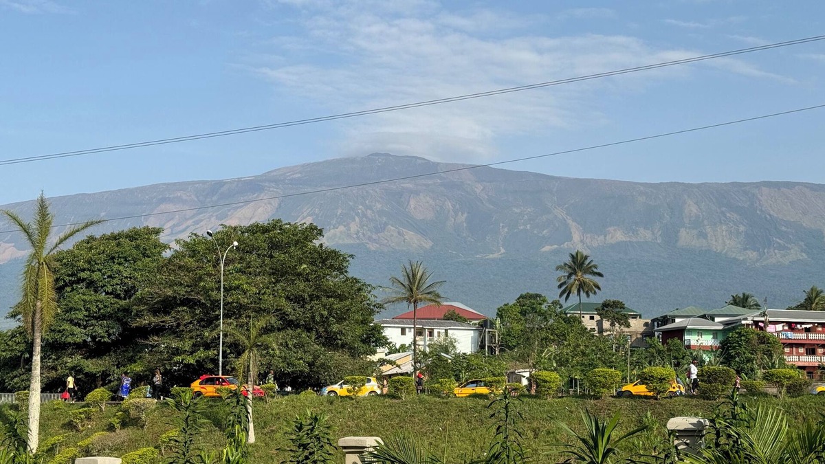 Buea Apartment | One-Bedroom Apartment 3 - Akhard Hausnn