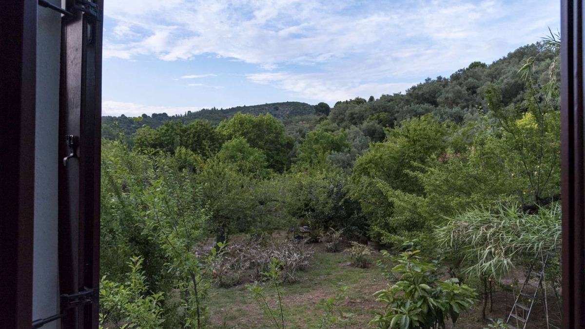 Platania Apartment | One Bedroom Apartment - Harmony House - Platanias Pelion # F up floor